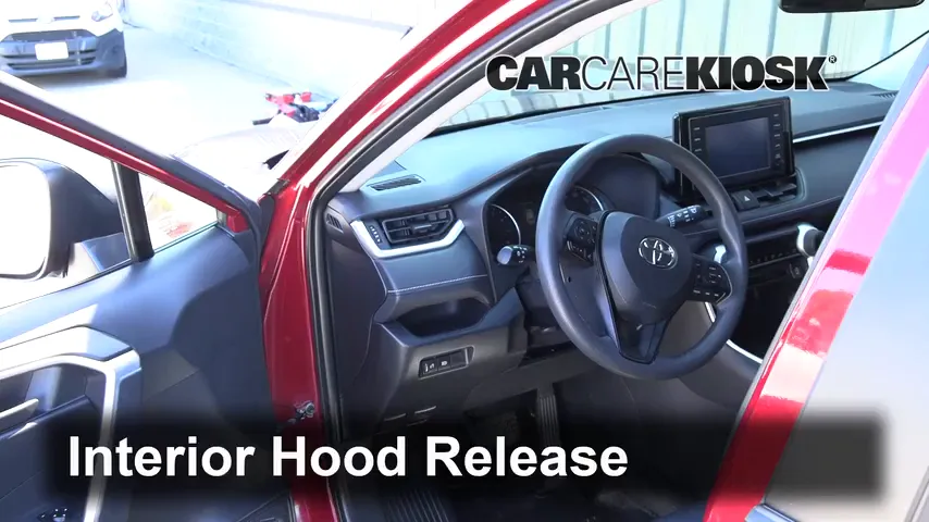 2019 Toyota RAV4 LE 2.5L 4 Cyl. Hood